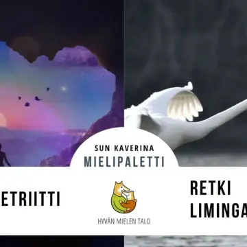 Hienoja osallistumisen mahdollisuuksia syys-lokakuussa Mielipaletissa 18-35-vuotiaille! Retki Liminganlahdelle maanantai...