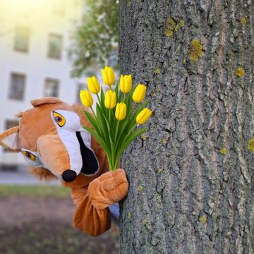 Hyvän mielen talon ensi viikon avoin toiminta (18.5.–24.5.) 🌞Tässä kooste ensi viikon avoimista toiminnoista