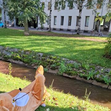 Tervetuloa osallistumaan monipuoliseen toimintaan Hyvän mielen talolle ensi viikolla!🌻Tästä löydät ensi viikon avoimen ...